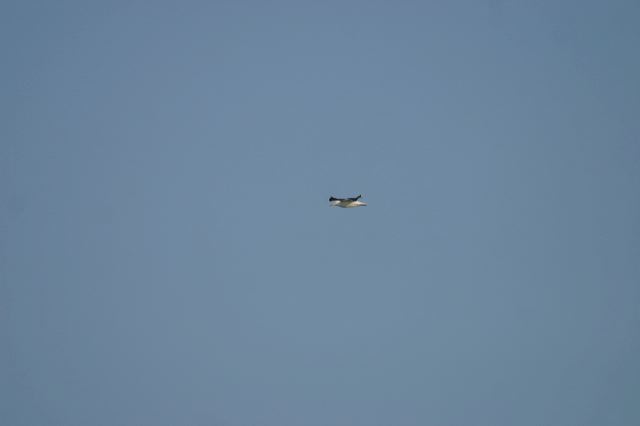 2005-07-07-189.jpg