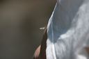 click thumbnail to load image