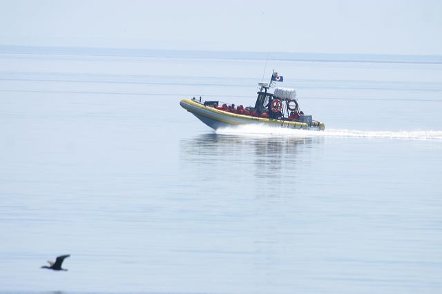 2005-07-08-035.jpg