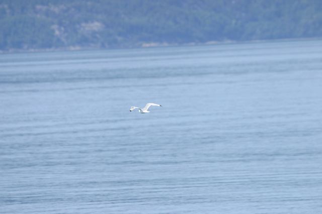 2005-07-08-072.jpg