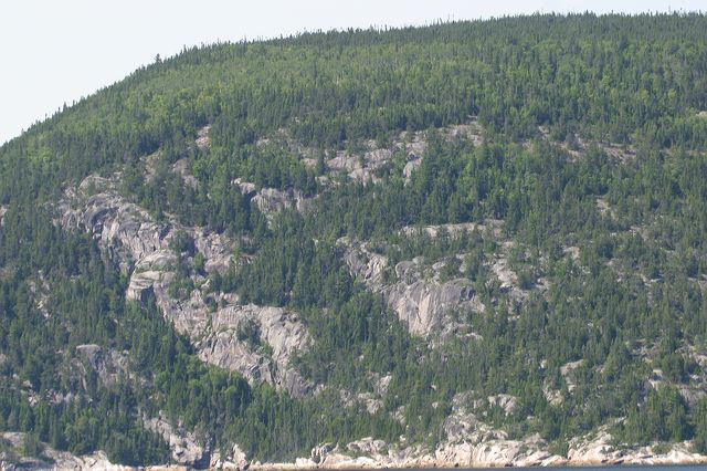 2005-07-08-192.jpg