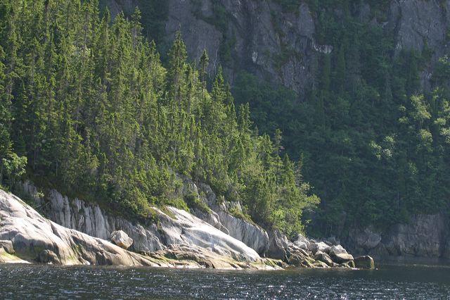 2005-07-08-202.jpg