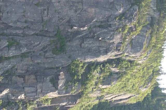 2005-07-08-206.jpg