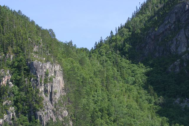 2005-07-08-207.jpg