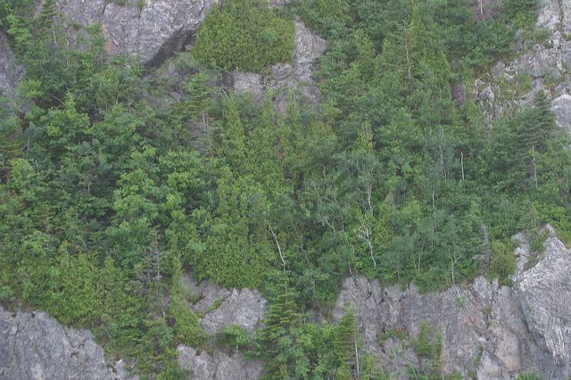 2005-07-08-208.jpg