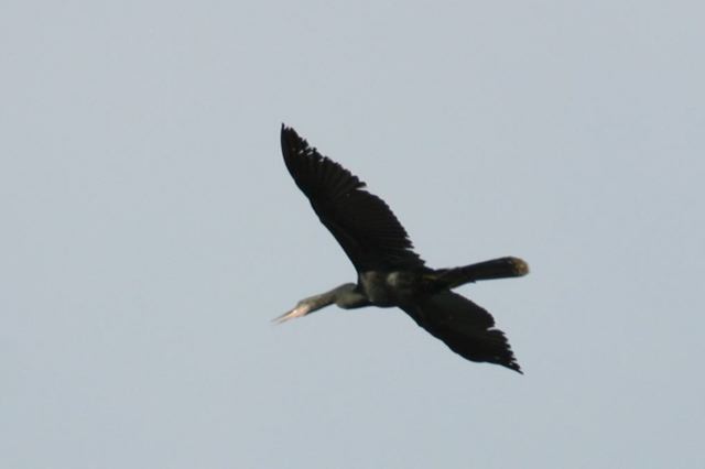 2005-09-04-170.jpg
