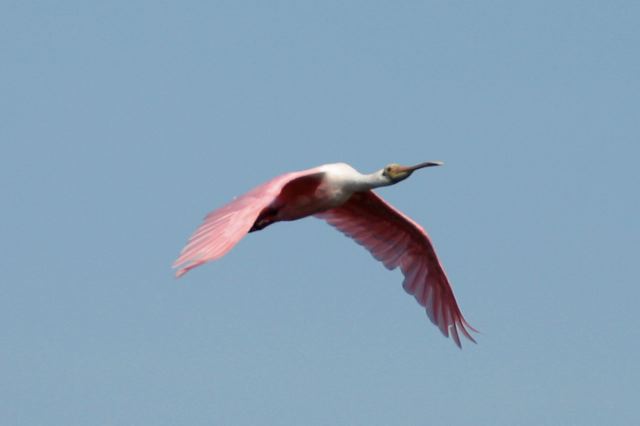 2005-09-04-240.jpg