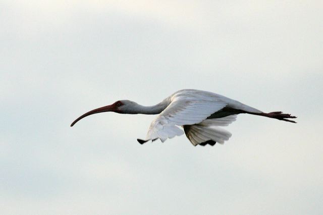 2005-09-05-227.jpg