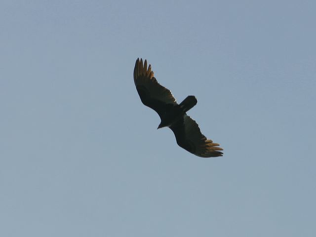 2005-09-06-028.jpg