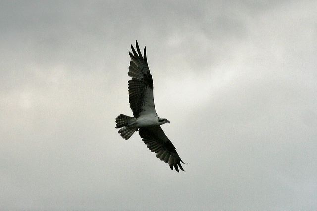 2005-09-07-128.jpg