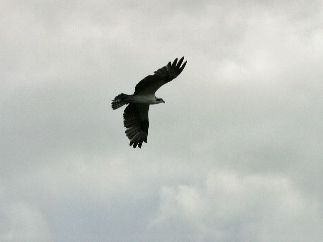 2005-09-07-129.jpg