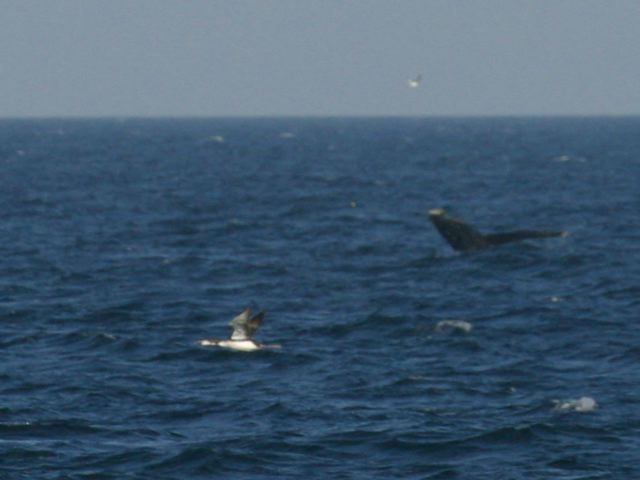 2005-11-03-075.jpg