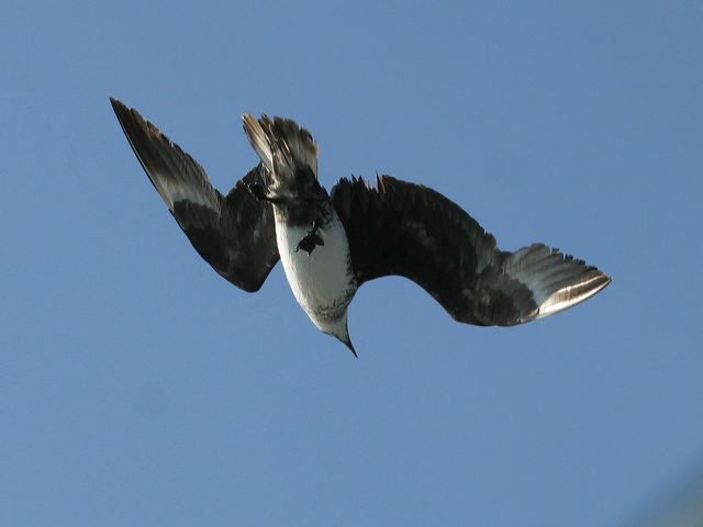 2005-11-03-141.jpg