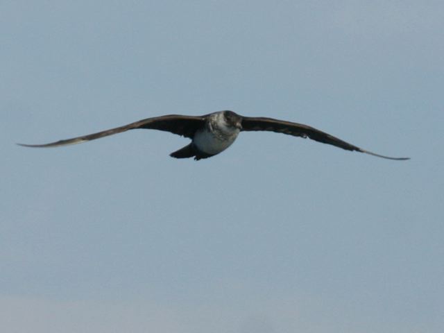 2005-11-03-156.jpg