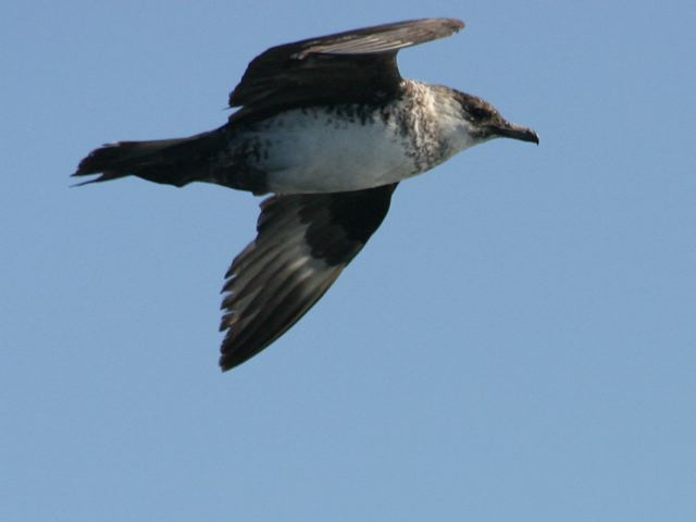 2005-11-03-160.jpg