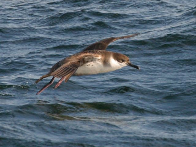 2005-11-03-208.jpg