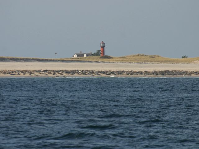 2005-11-03-230.jpg