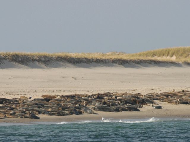 2005-11-03-232.jpg