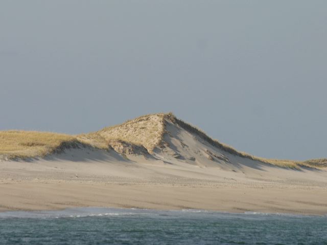 2005-11-03-243.jpg