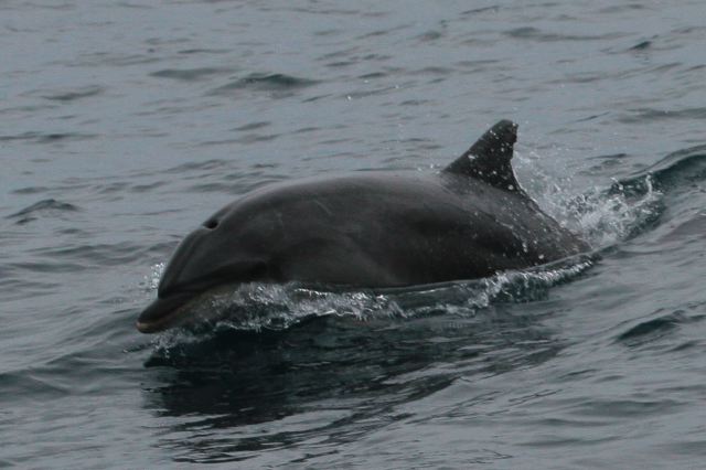 2007-07-01-431.jpg