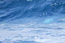 click thumbnail to load image