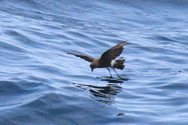 2008-07-02-075.jpg