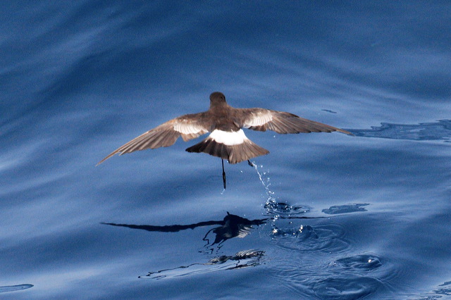 2008-07-02-100.jpg