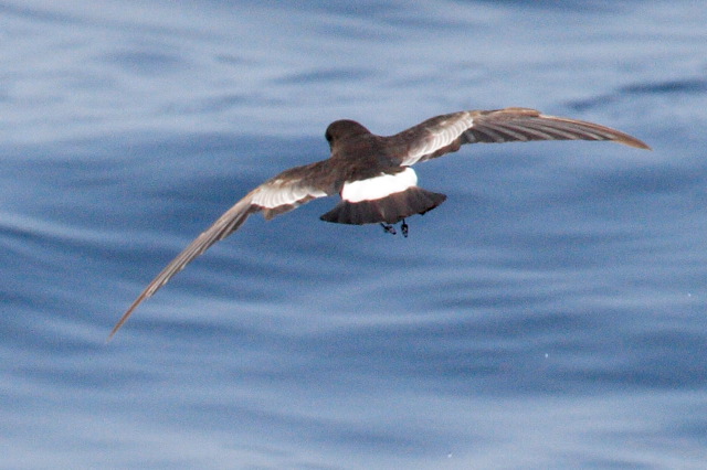 2008-07-02-109.jpg