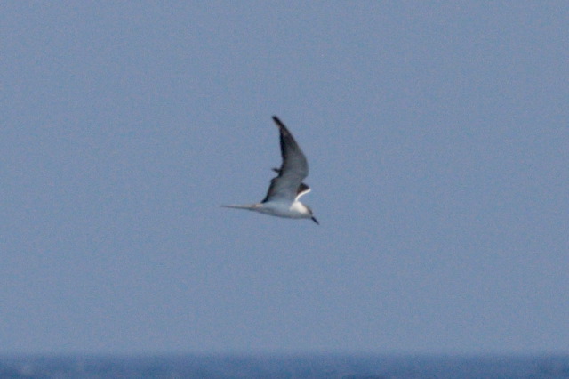 2008-07-02-232.jpg