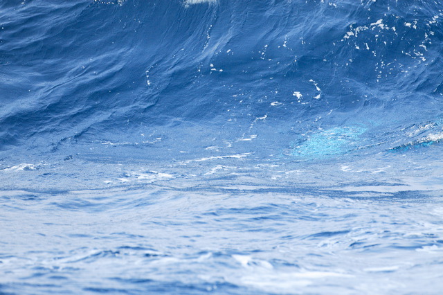 2008-07-02-250.jpg