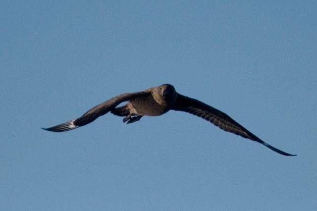 2010-08-05-033.jpg