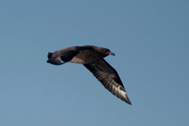 2010-08-05-039.jpg