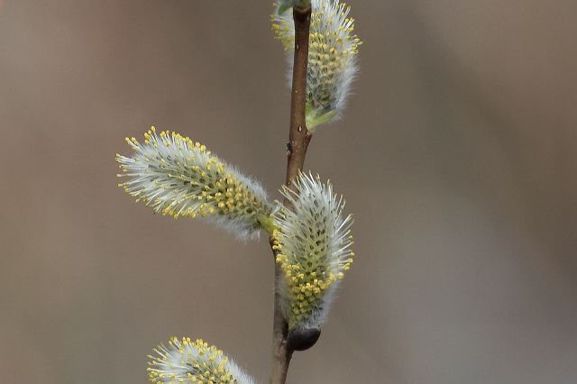 2011-04-05-506.jpg