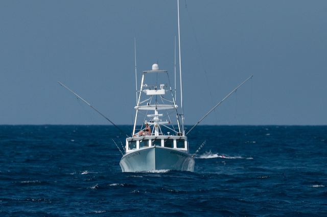 2011-07-04-156.jpg